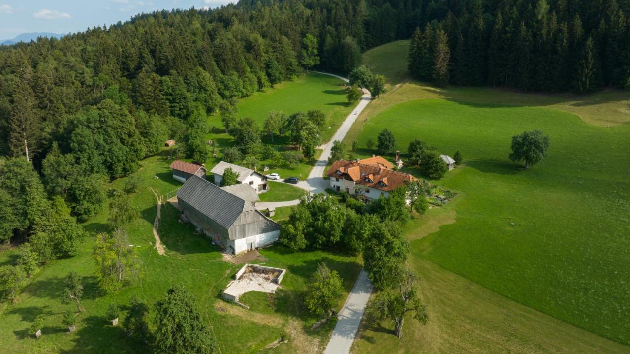 Eco Tourist Farm Ravnjak Slovenj Gradec Eksteriør billede