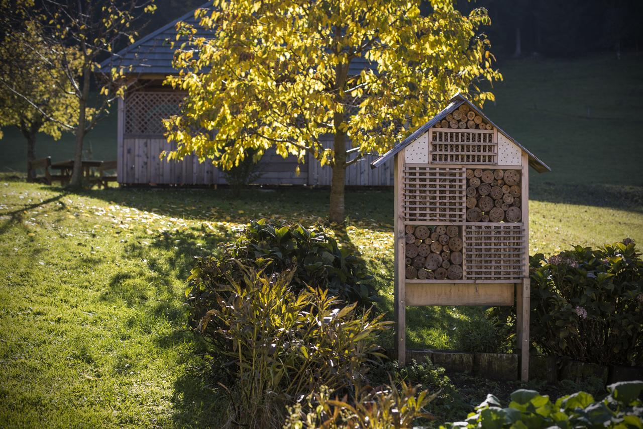 Eco Tourist Farm Ravnjak Slovenj Gradec Eksteriør billede